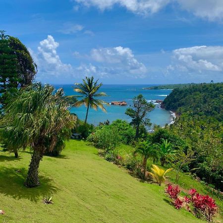 Sea Cliff Eco-Cottages & Gin Distillery Calibishie 外观 照片