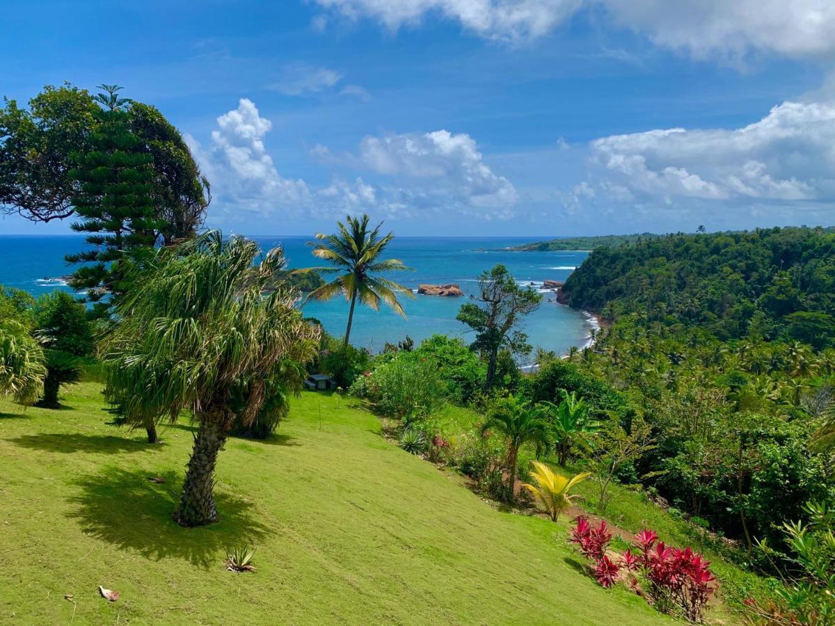 Sea Cliff Eco-Cottages & Gin Distillery Calibishie 外观 照片