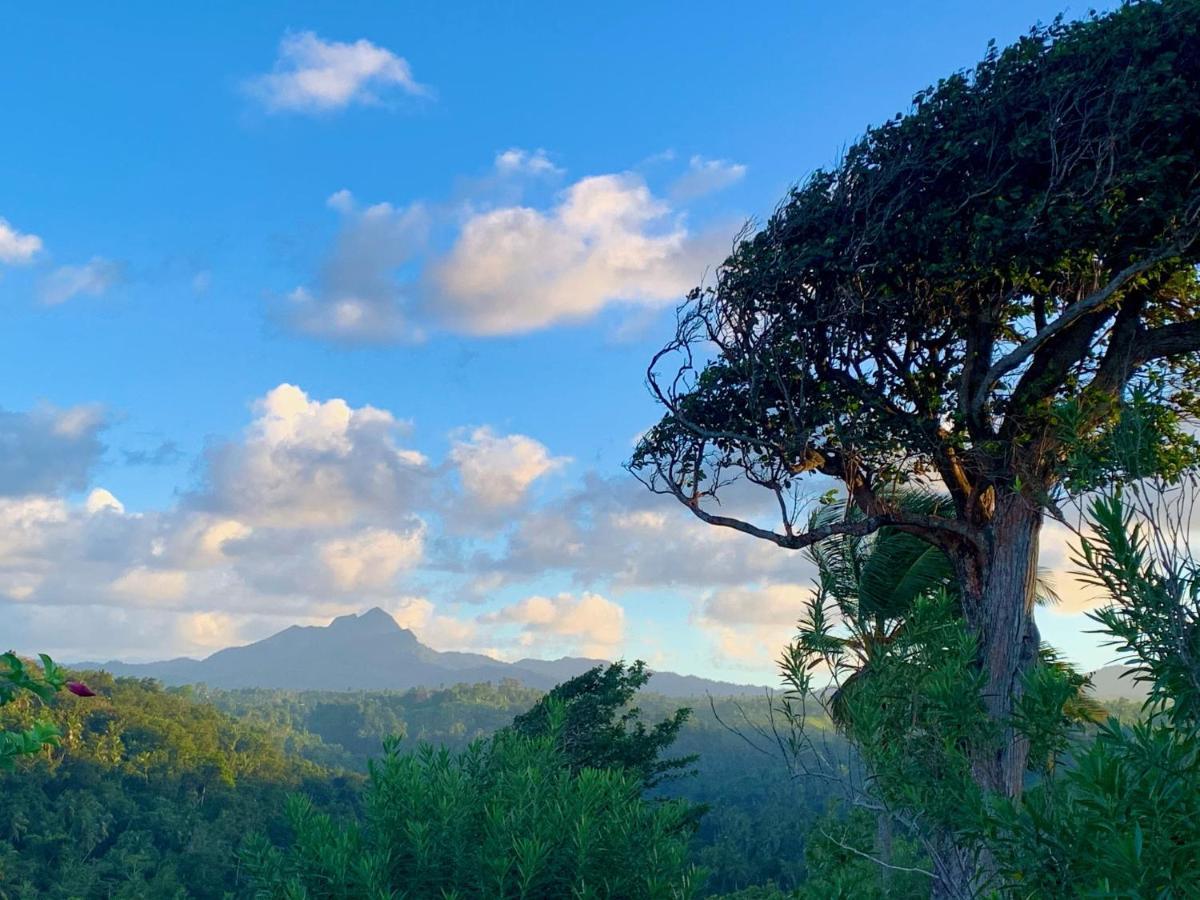 Sea Cliff Eco-Cottages & Gin Distillery Calibishie 外观 照片
