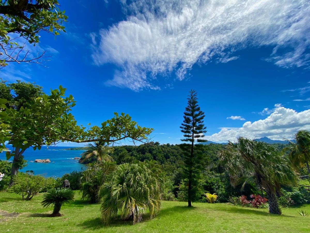 Sea Cliff Eco-Cottages & Gin Distillery Calibishie 外观 照片