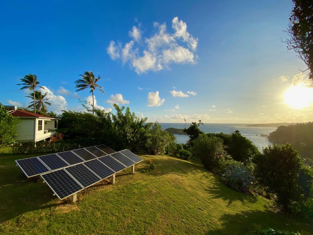 Sea Cliff Eco-Cottages & Gin Distillery Calibishie 外观 照片
