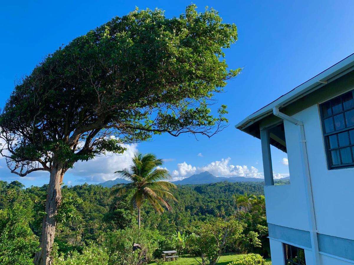 Sea Cliff Eco-Cottages & Gin Distillery Calibishie 外观 照片