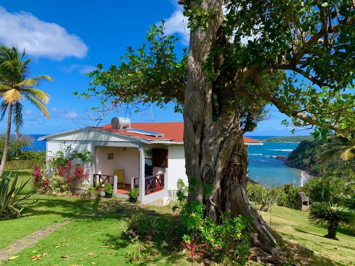 Sea Cliff Eco-Cottages & Gin Distillery Calibishie 外观 照片